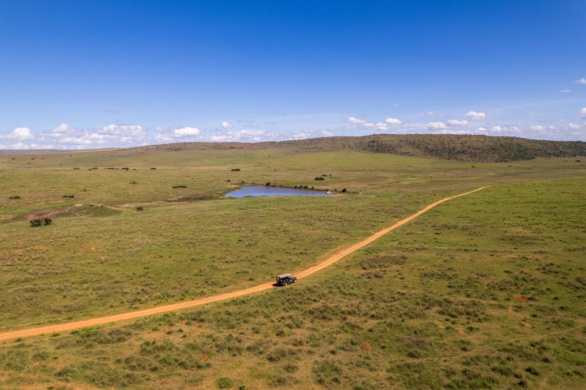 Sediba Luxury Safari Lodge Welgevonden Game Reserve Luaran gambar