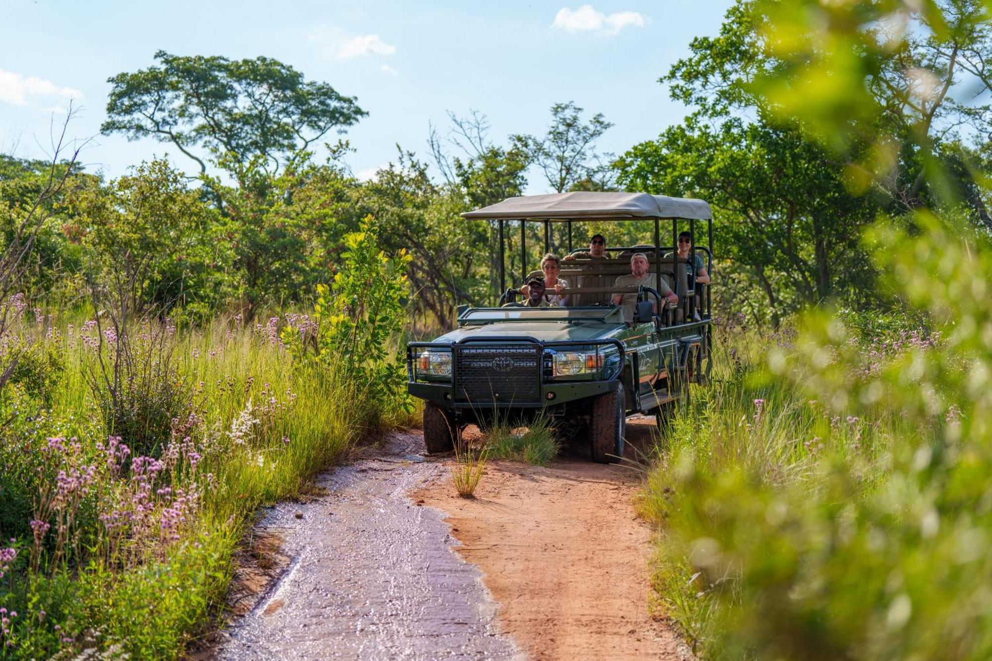 Sediba Luxury Safari Lodge Welgevonden Game Reserve Luaran gambar